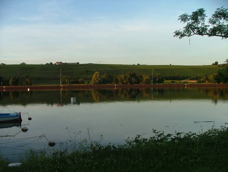 DSCF2707.JPG