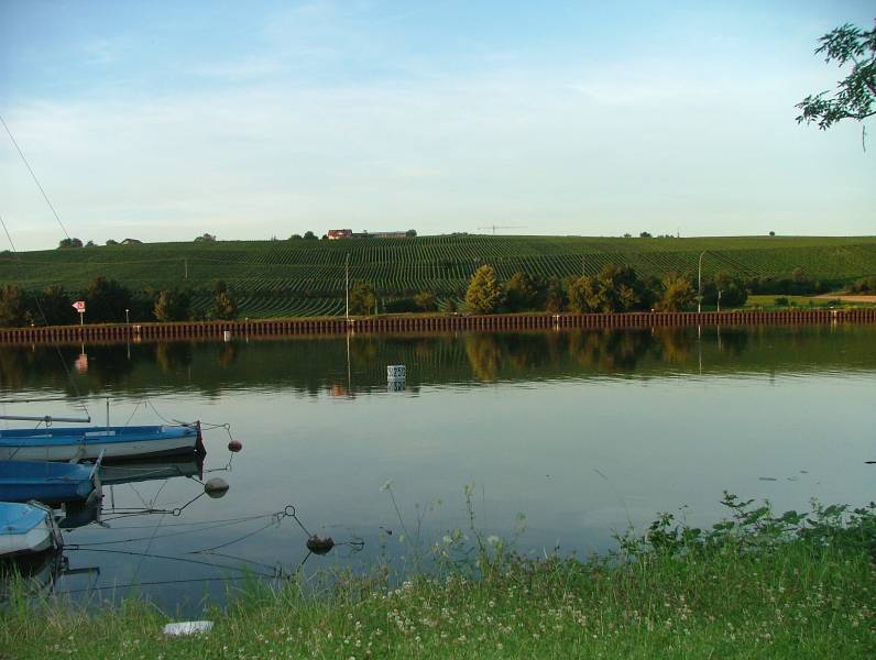 DSCF2708.JPG