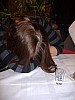 DSCF2260.jpg