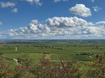 16-IMG-20250914-WA0008