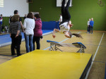 IMG_1459
