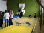 IMG_1464