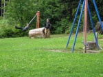 P1010023