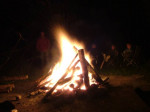 DSCF1531