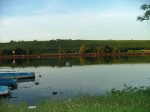 DSCF2708