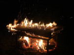 DSCF2719