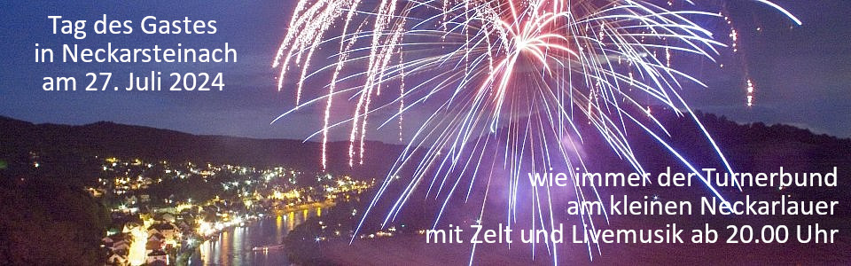 Neckarsteinach Feuerwerk v2
